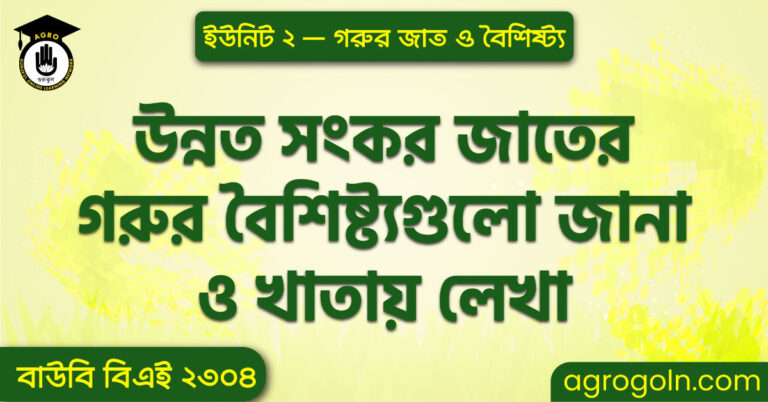 উন্নত সংকর জাতের গরুর বৈশিষ্ট্যগুলো জানা ও খাতায় লেখা