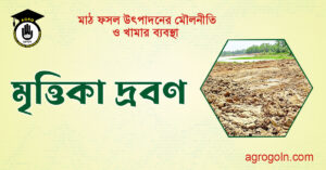 মৃত্তিকা দ্রবণ