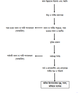 চূড়ান্ত মূল্যায়ন – গাভীর জাত উন্নয়ন