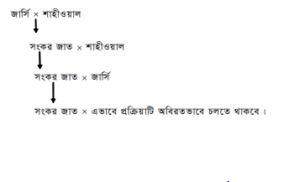 জাত উন্নয়নের উদ্দেশ্য এবং পদ্ধতি