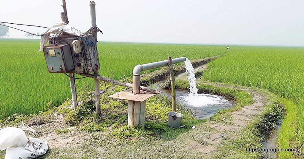 ধান চাষে সেচ