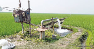 ধান চাষে সেচ