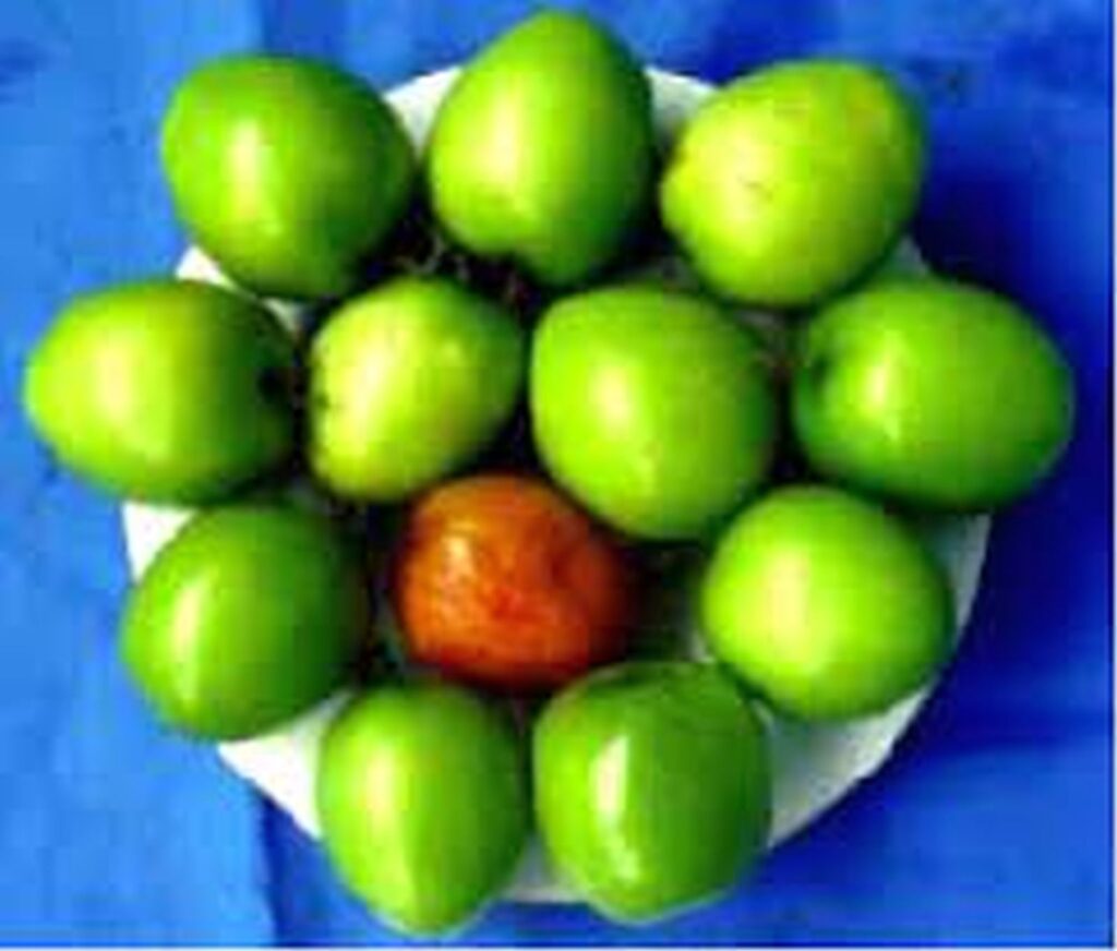 বারি কুল