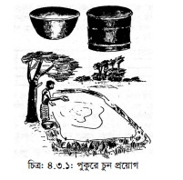 মাছ চাষের জন্য পুকুর খনন ও প্রস্তুতকরণ ও পোনা ছাড়ার পদ্ধতি