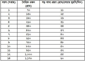 মুরগির খাদ্য