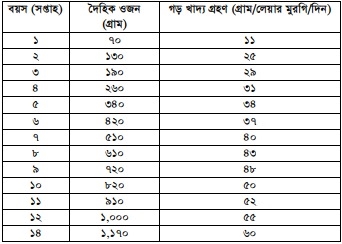 মুরগির খাদ্য
