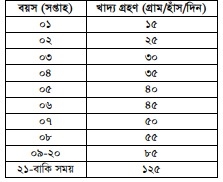 হাঁসের খাদ্য
