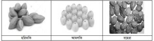 গুরুত্বপূর্ণ ঔষধি উদ্ভিদের সাধারণ পরিচিতি ও তালিকা
