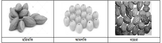 গুরুত্বপূর্ণ ঔষধি উদ্ভিদের সাধারণ পরিচিতি ও তালিকা