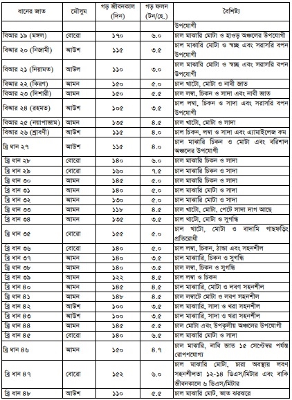 ধান চাষ