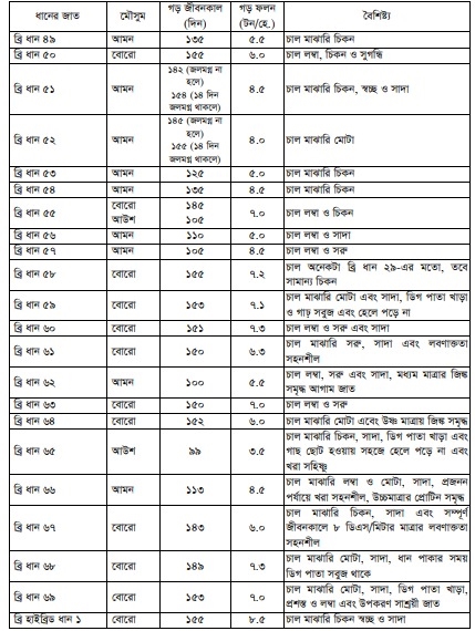 ধান চাষ