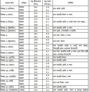 ধান চাষ