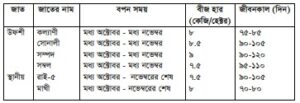 সরিষা চাষ
