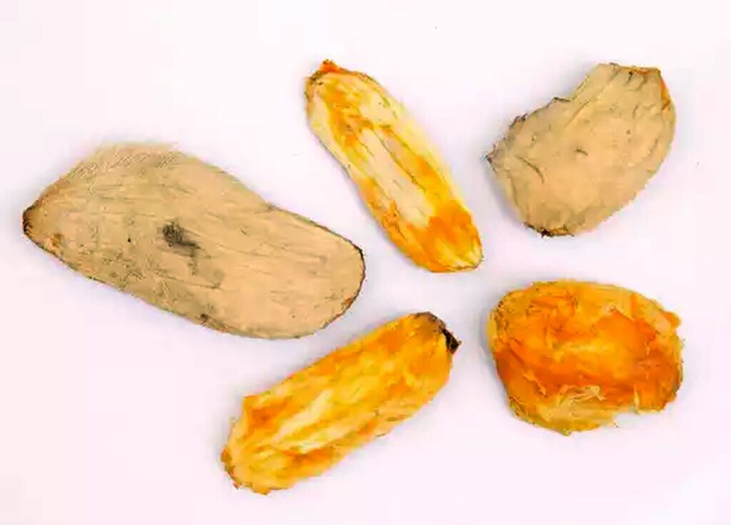 আম বীজ