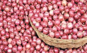 পিঁয়াজ