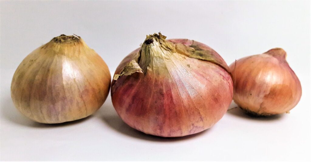 বাংলাদেশী লাল পিঁয়াজ