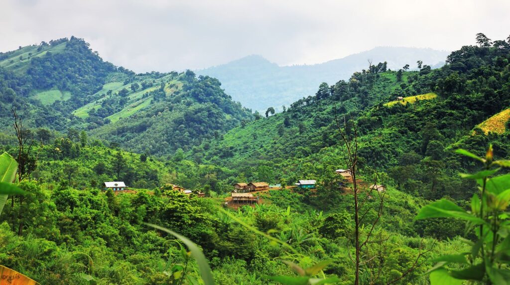 বাংলাদেশের বনজ সম্পদের গুরুত্ব 2 বান্দরবান