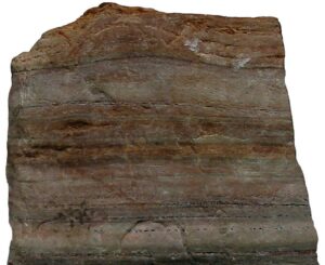 কোয়ার্টজাইট, এক ধরনের রূপান্তরিত শিলা (Metamorphic Rock)