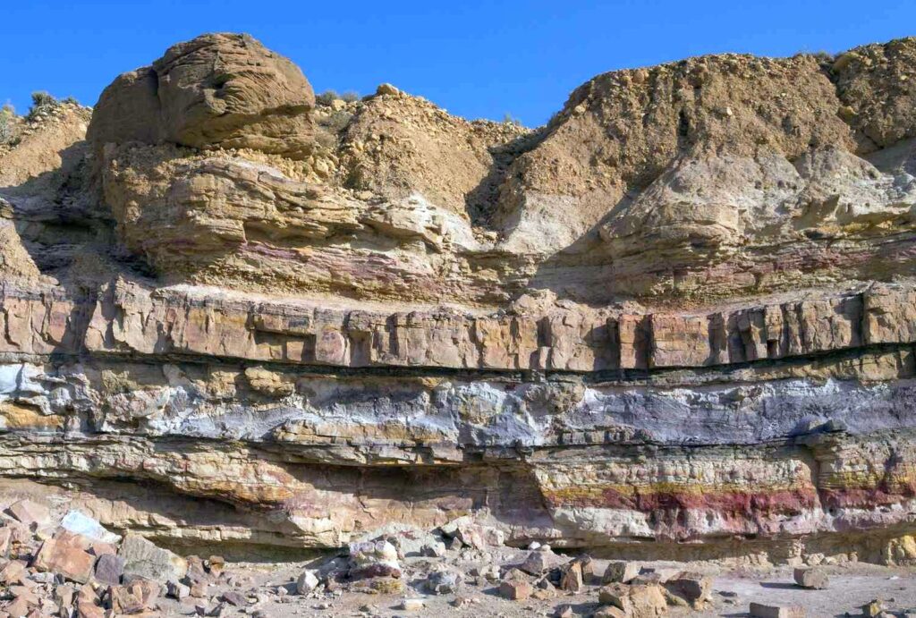 পাললিক শিলা (Sedimentary Rock)