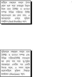 মৃত্তিকা পার্শচিত্র