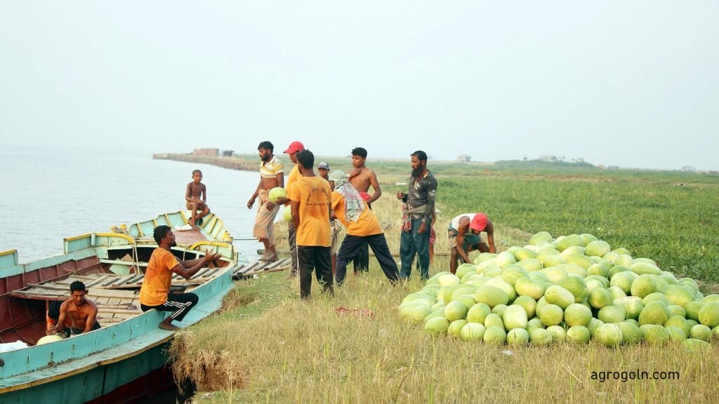 বাংলাদেশের কৃষিতে চ্যালেঞ্জ ও উত্তরণ