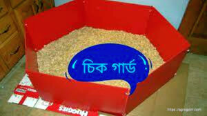 চিক গার্ড - ছোট বাচ্চার ব্রুডিং