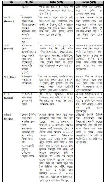 ভেড়ার জাত ও বৈশিষ্ট্য