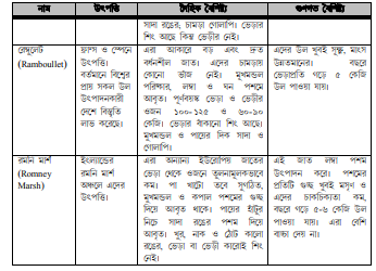ভেড়ার জাত ও বৈশিষ্ট্য