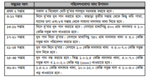বাছুরের খাদ্য