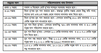 বাছুরের খাদ্য