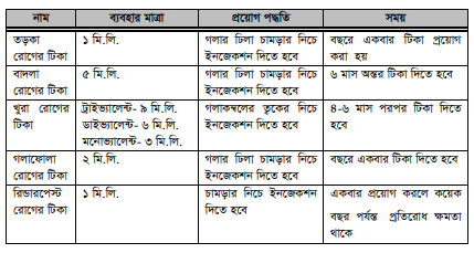 গাভীর স্বাস্থ্যসম্মত লালনপালন ও রোগপ্রতিরোধ পদ্ধতি 5 গাভীর স্বাস্থ্যসম্মত লালনপালন ও রোগপ্রতিরোধ পদ্ধতি