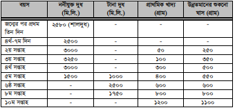 মহিষের খাদ্য 5 মহিষের খাদ্য