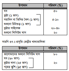 ভেড়ার খাদ্য ও রোগব্যাধি দমন 4 ভেড়ার খাদ্য ও রোগব্যাধি দমন
