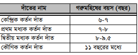 দাঁত দেখে গরুমহিষের বয়স নির্ণয় করা 4 দাঁত দেখে গরুমহিষের বয়স নির্ণয় করা