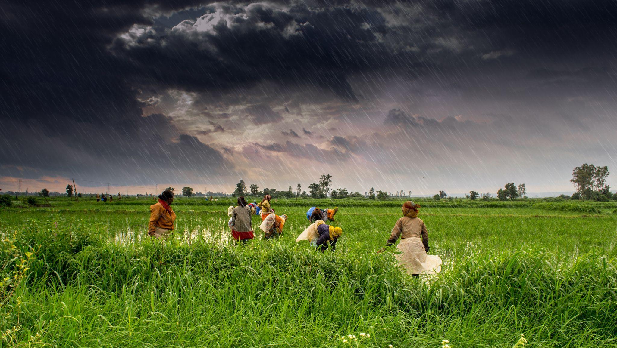 জলবায়ু ও কৃষি আবহাওয়া 3 জলবায়ু ও কৃষি আবহাওয়া