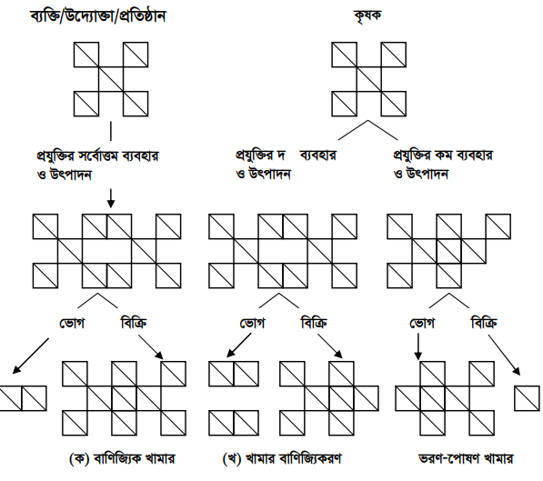খামার বাণিজ্যিকীকরণ 2 খামার বাণিজ্যিকীকরণ