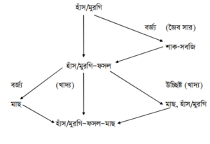 পোলট্রি ভিত্তিক সমন্বিত খামার (মুরগি/হাঁস, ফসল, মাছ)
