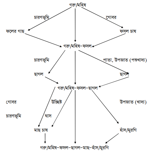ডেয়রী ভিত্তিক সমন্বিত খামার (গরু/মহিষ, ফসল, মাছ, মুরগি/হাঁস, ছাগল)