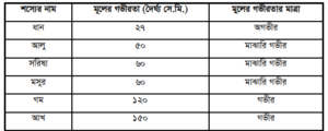 বিভিন্ন ফসলের জন্য জমি তৈরির নীতিমালা