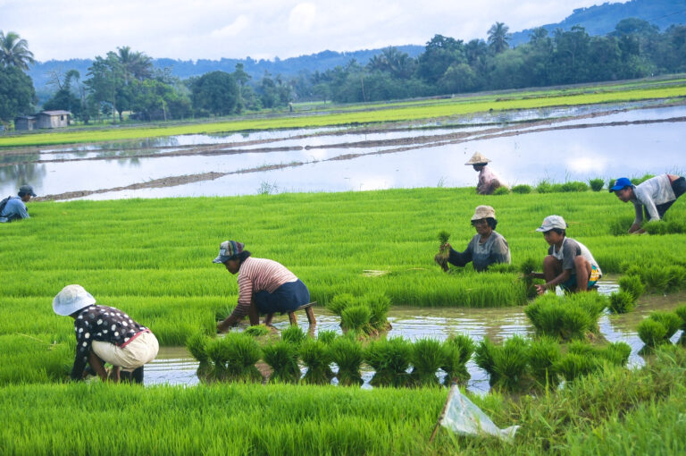 কৃষি পরিবেশ সংরণে কৃষিজীবের ভূমিকা