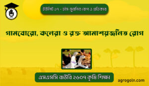 গামবোরো, কলেরা ও রক্ত আমাশয়জনিত রোগ