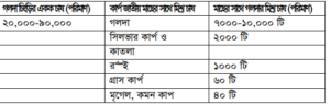 গলদা চিংড়ির চাষ