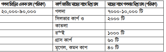 গলদা চিংড়ির চাষ