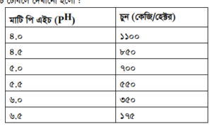 গলদা চিংড়ির চাষ