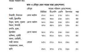 ধান চাষ