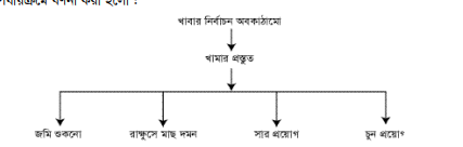 বাগদা চিংড়ির চাষ