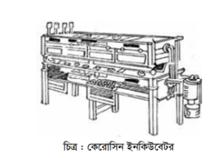 বাচ্চা ফোটানোর পদ্ধতি-২, ডিম হতে বাচ্চা ফোটানোর সময়