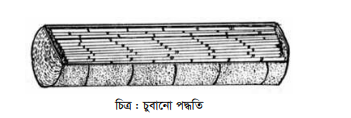 ব্যবহারিক:বাঁশ ও কাঠ পরিশোধন ( ট্রিটমেন্ট)