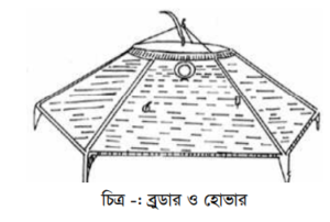 ব্রয়লার বাচ্চার ব্রুডিং সরঞ্জাম ও ব্যবস্থাপনা