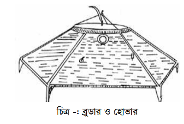 ব্রয়লার বাচ্চার ব্রুডিং সরঞ্জাম ও ব্যবস্থাপনা 2 ব্রয়লার বাচ্চার ব্রুডিং সরঞ্জাম ও ব্যবস্থাপনা